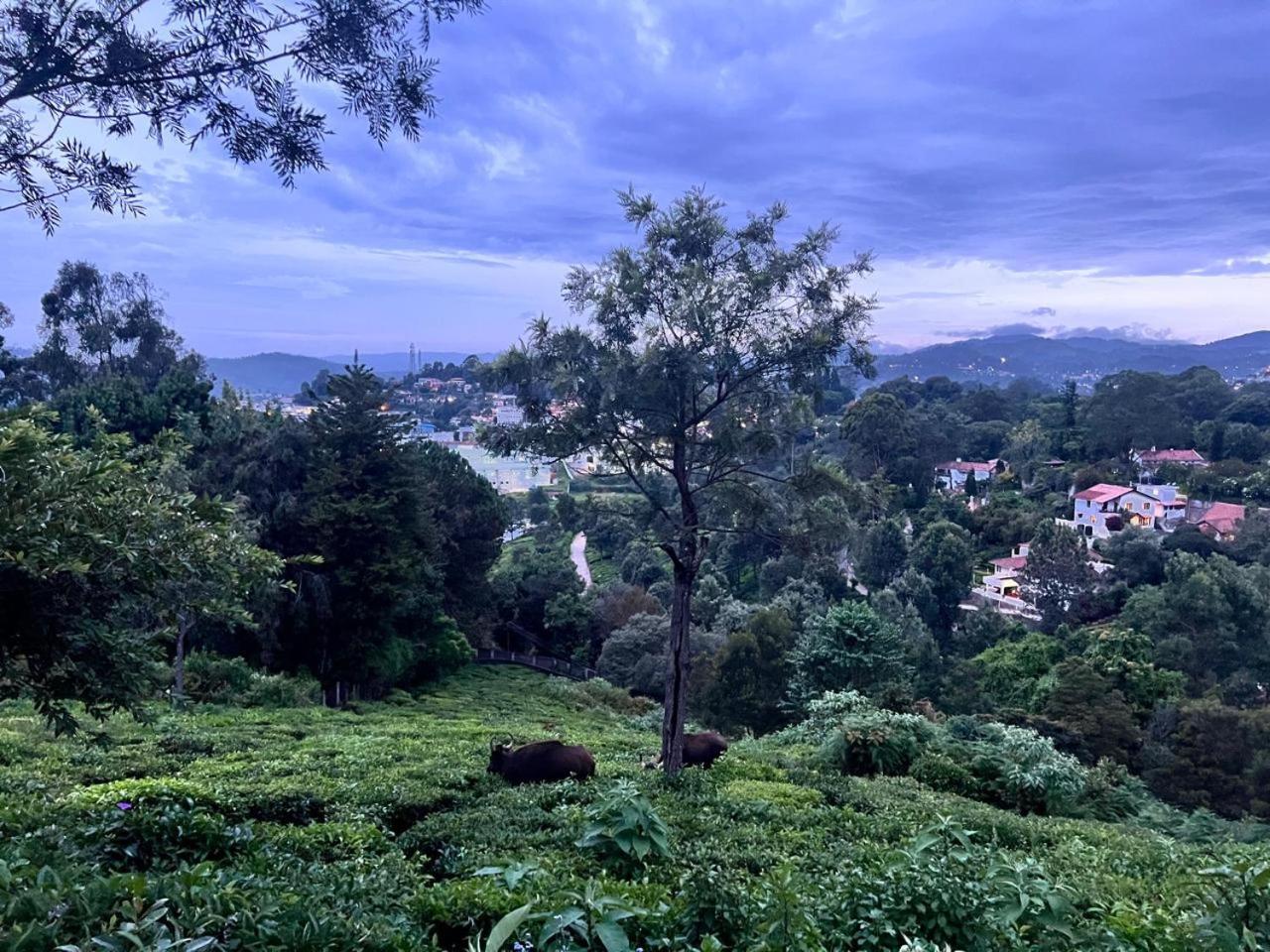 Sunset Villa Coonoor Exterior foto